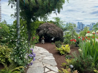 Landscaping services near me