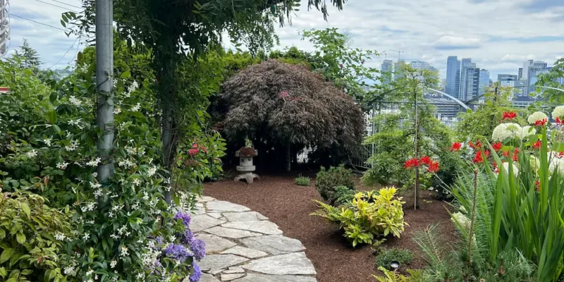 Landscaping services near me