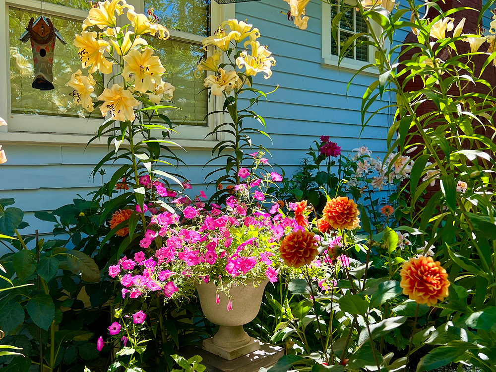 Yard Services Near Me